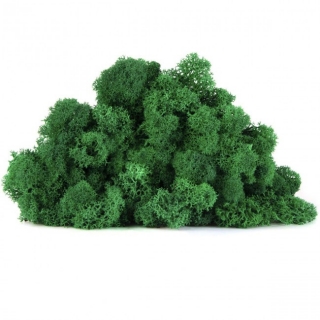 Dekoračný stabilizovaný mach sobia 0,5 kg, smaragdovo zelený