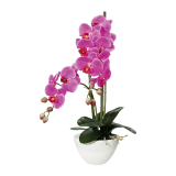 Orchidea lila v kvetináči, 50cm