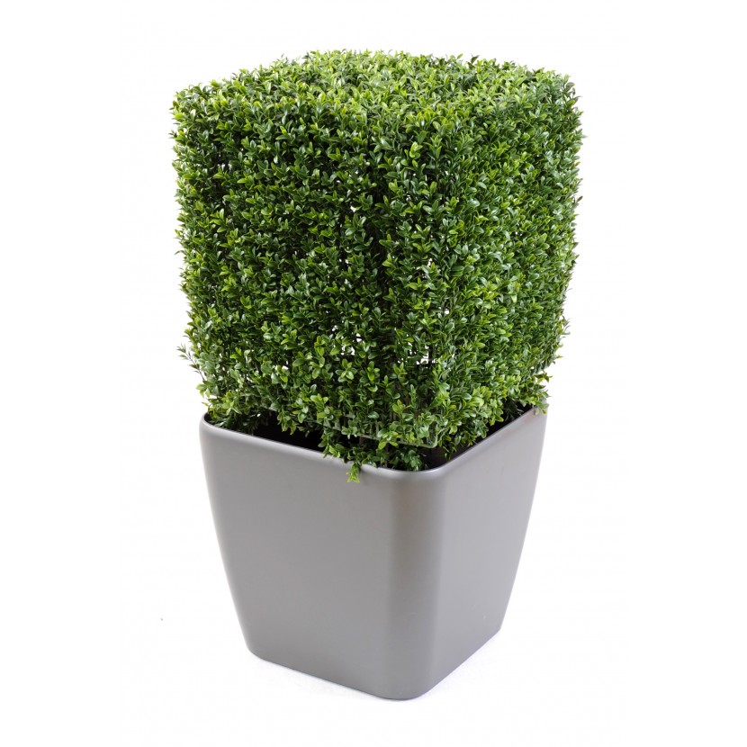 Umelý strom Buxus Edge New, 65cm
