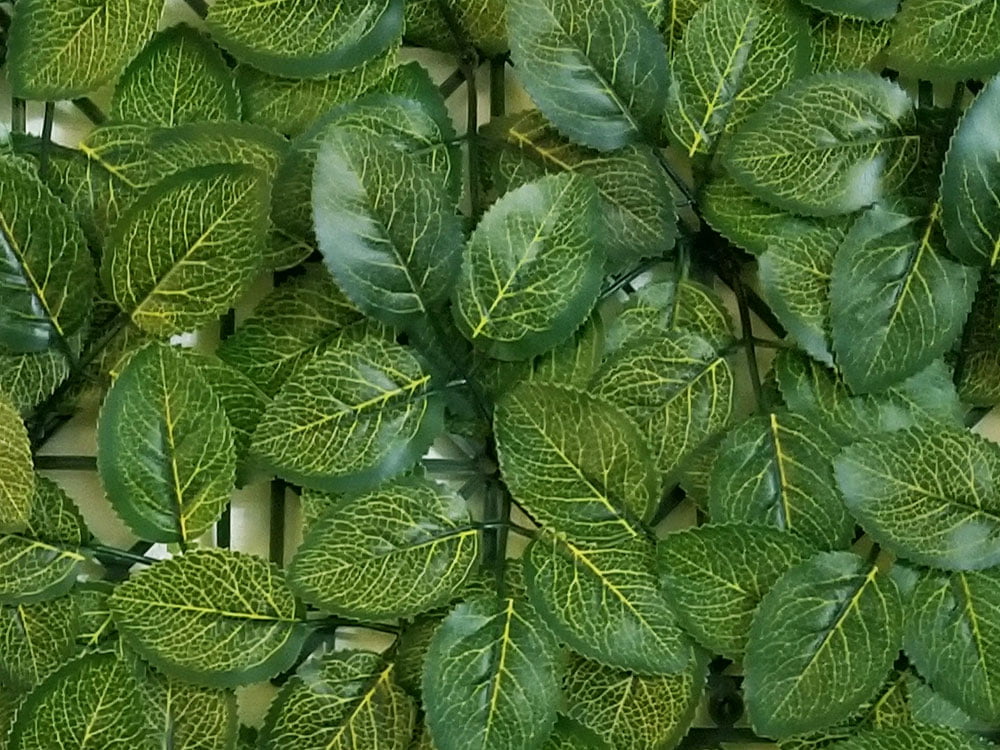 FITTONIA SOFT, sada dielcov pre 1x3m