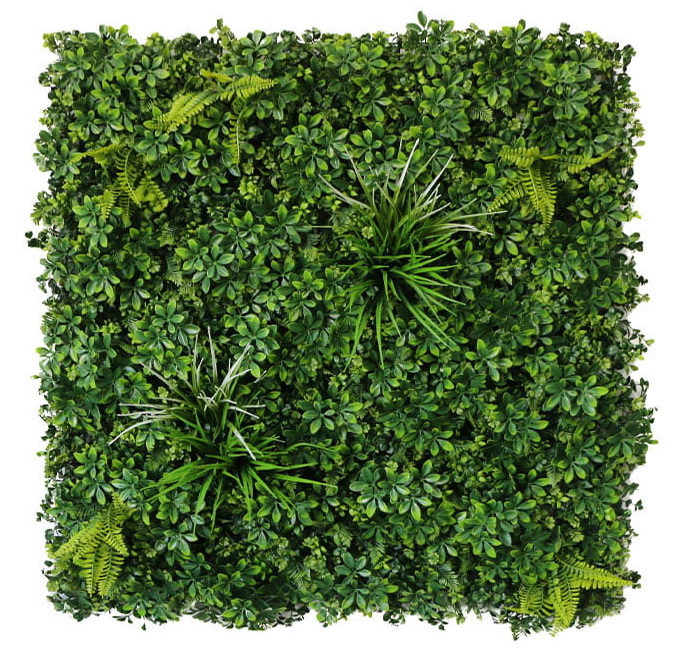Umelá živá zelená stena ŠEFLERA 2, 100 x 100cm