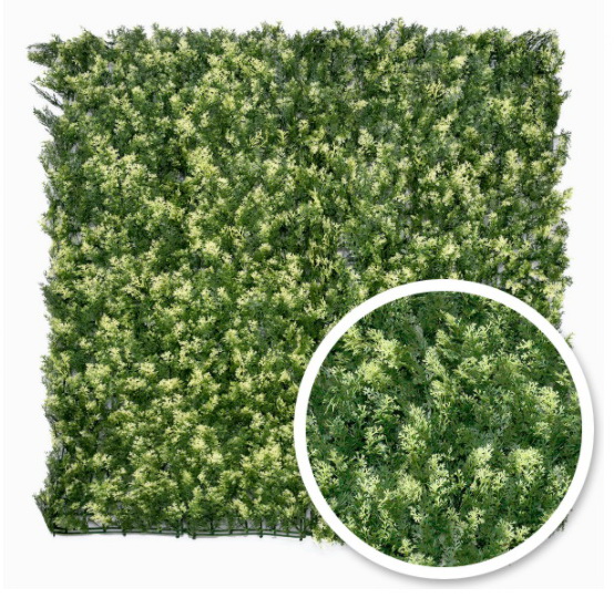 THUJA VG PREMIUM, 100x100 cm, plocha 1m2