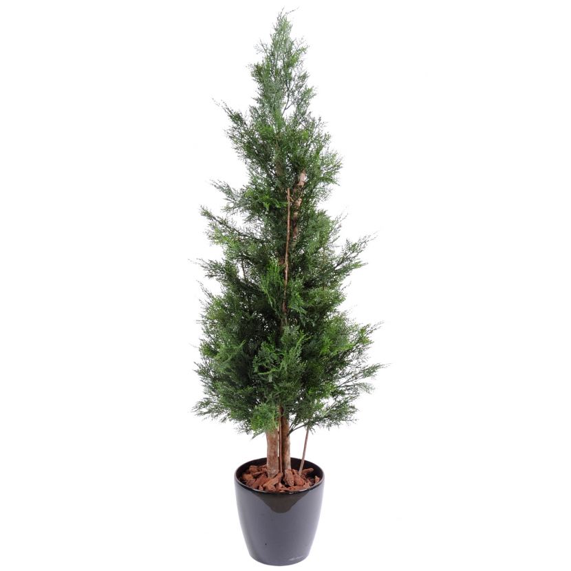Cyprus tmavý s drevenými kmeňmi, 150cm