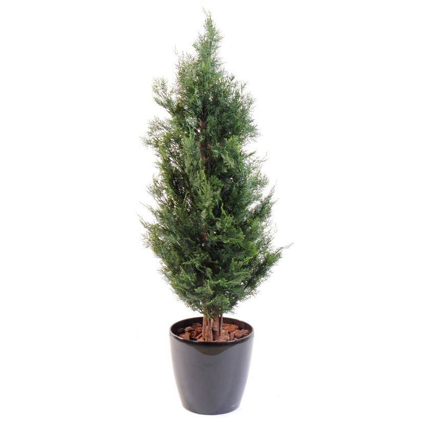 Cyprus tmavý s drevenými kmeňmi, 125cm