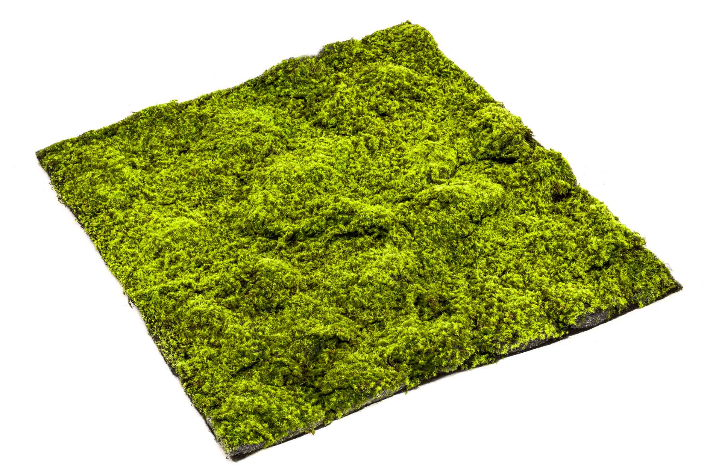 Umelá živá zelená stena SPHAGNUM, 100 x 100cm