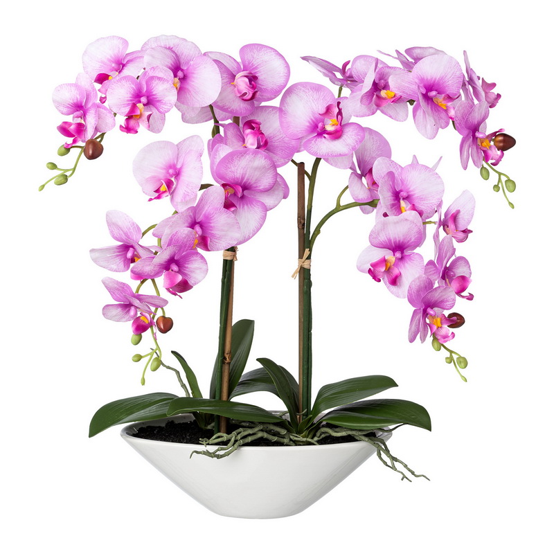Orchidea ružová v miske, 53cm
