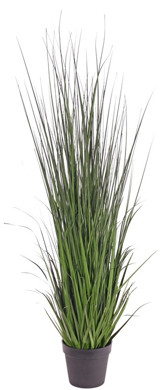 Tráva v kvetináči Victoria, 135cm