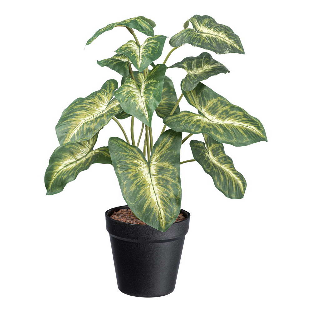 Syngonium žlto zelená v kvetináči, 38cm