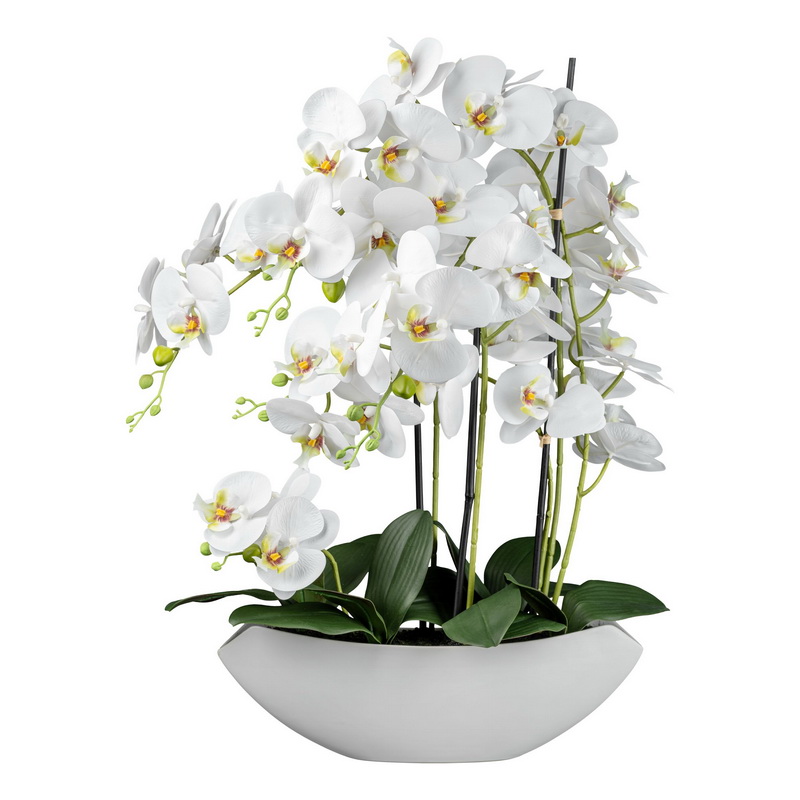 Orchidea biela v miske, 66cm