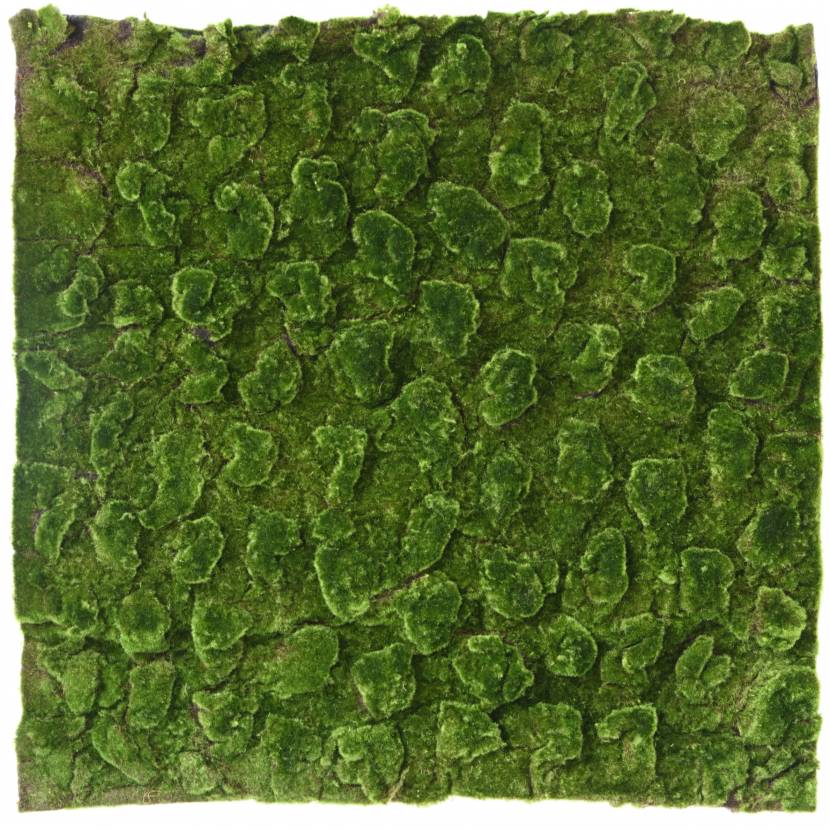 Umělá živá zelená stena MECH TOP, 100 x 100cm