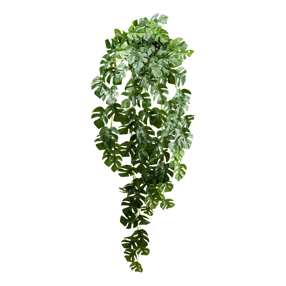 Split filodendron popínavá rastlina, 95cm
