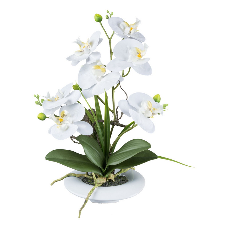 Orchidea biela v miske, 41cm