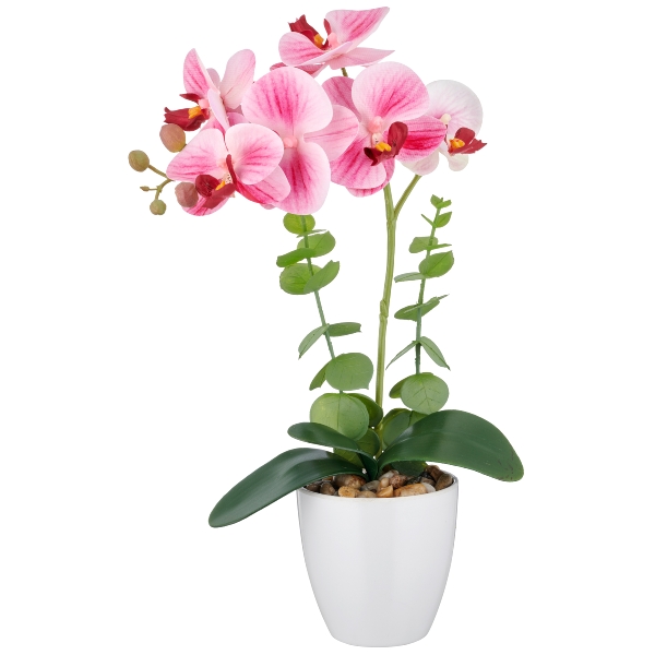 Orchidea svetlo ružová v kvetináči, 40cm