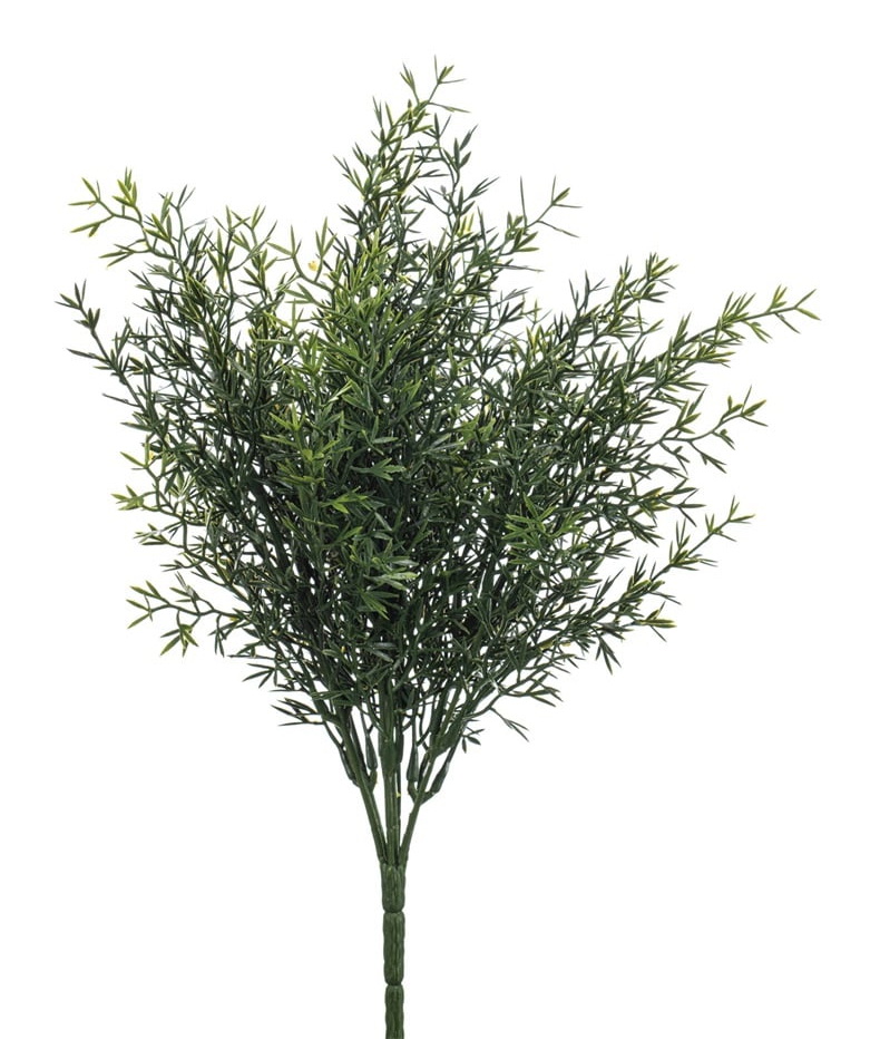 Rozmarýn krík, 35cm