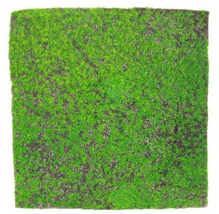 Umelá živá zelená stena MECH 23, rozmer 100 x 100cm