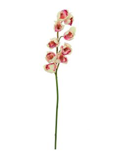 Cymbidium větvička, růžová 90cm