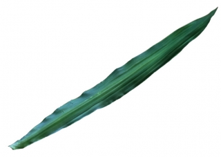 Obrí umelý list zelený EVA, 90cm, 12ks