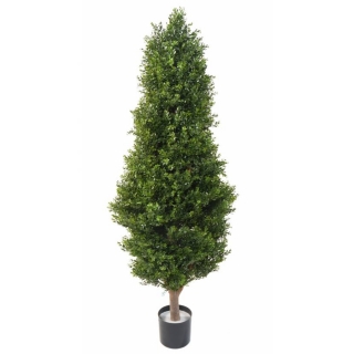 Buxus strom klasik, 155cm