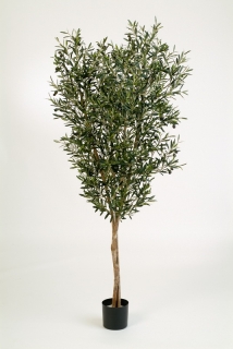 Olivovník s plodmi deluxe, 150cm