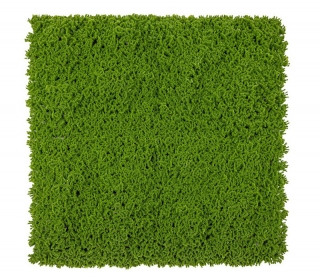 Umelá živá zelená stena MECH PE PREMIUM 4ks, 50 x 50cm, 1m2