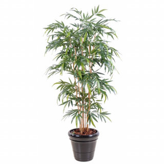 Bambus strom - prírodné kmene UV ochrana, 210cm