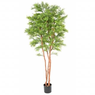 Eukalyptus strom UV, 210 cm