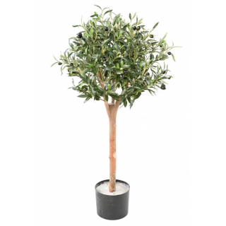 Olivovník prírodný kmeň, 110cm