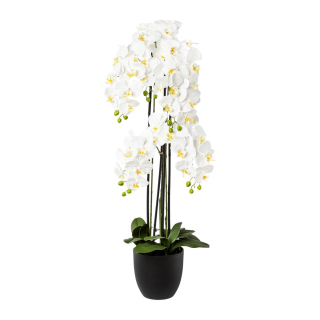 Orchidea biela v resin kvetináči, 119cm