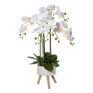 Orchidea biela v kvetináči na nožičkách, 75cm