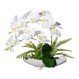 Orchidea biela v miske, 40cm