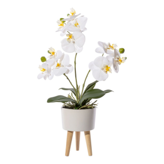 Orchidea biela v kvetináči na nožičkách, 42cm