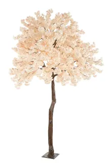 Kvitnúci strom krémový, 320 cm