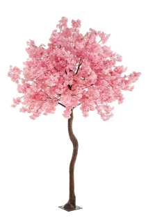 Kvitnúci strom ružový, 270 cm