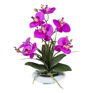 Orchidea fialová v miske, 41cm